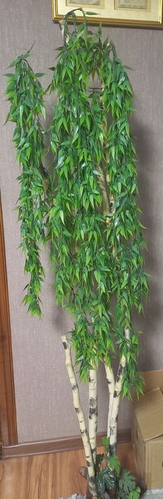 Искусственные растения