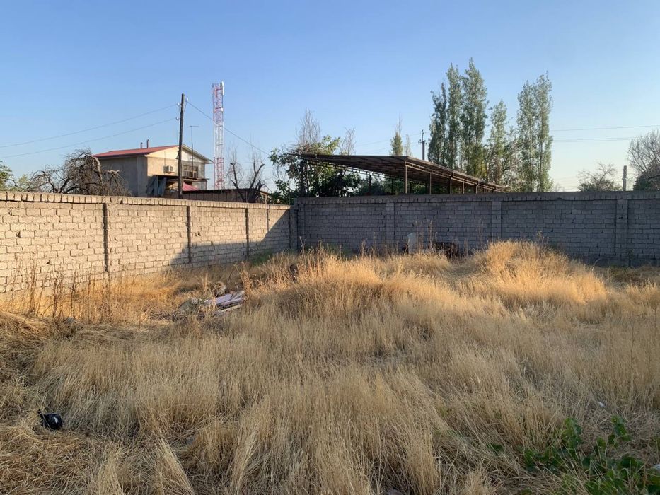 Yangi ozbekiston bogi torisida yer birinchi liniya. Kelishamiza