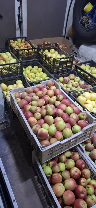 Продам!Яблоки все вопросы по телефону