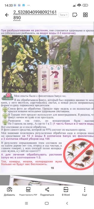 Ерсаг Туркия Банио оними. Колтик терлеуге айак ийс кетиреди противогри