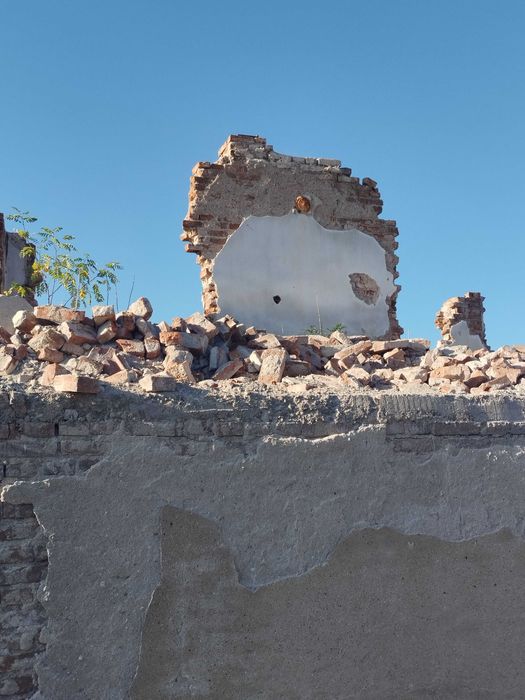 Подарявам тухли единички