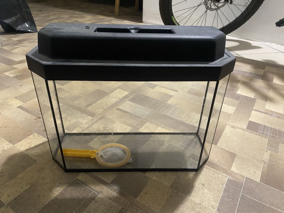 Аквариум небольшой