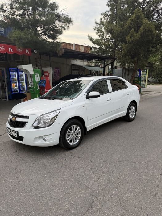 Kobolt 2024 Full
