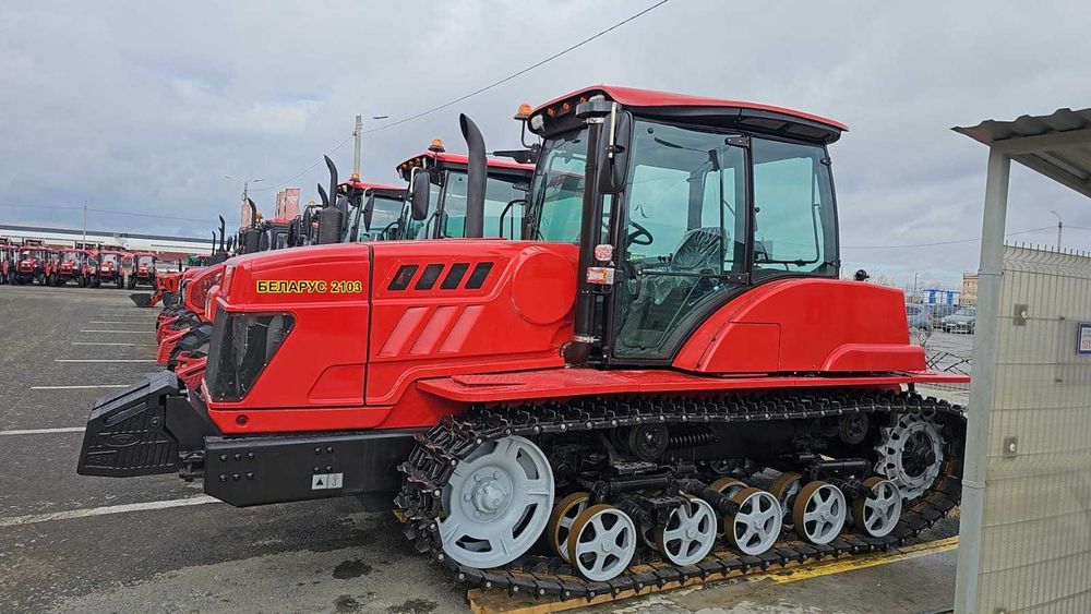 Әдемі ит стилі