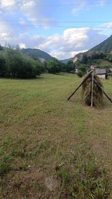 Teren intravilan cu casă veche și anexă de vânzare