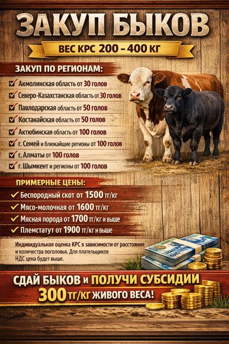 Быки только оптом