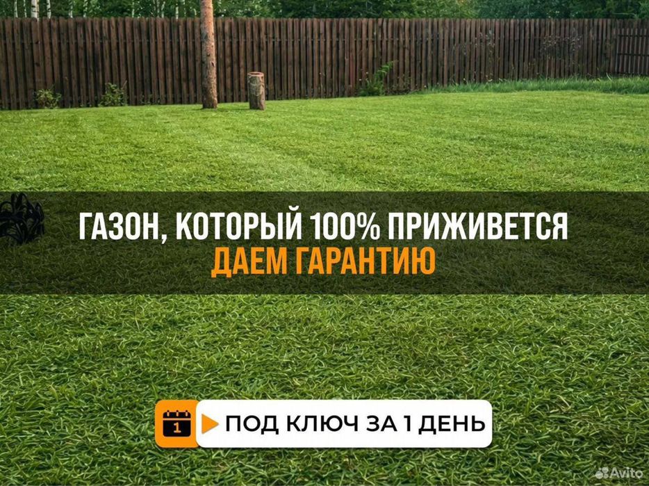 ОТ ПИТОМНИКА рулонный газон Посев газона Живая газон Натуральный трава