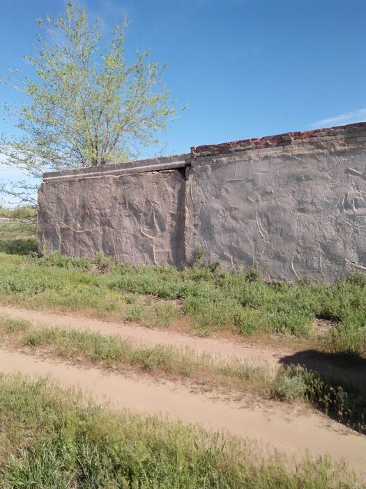 Дачный участок в коллективе ВАСЮКИ