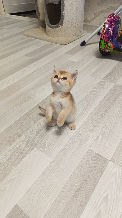 Шикарные здоровые малыши