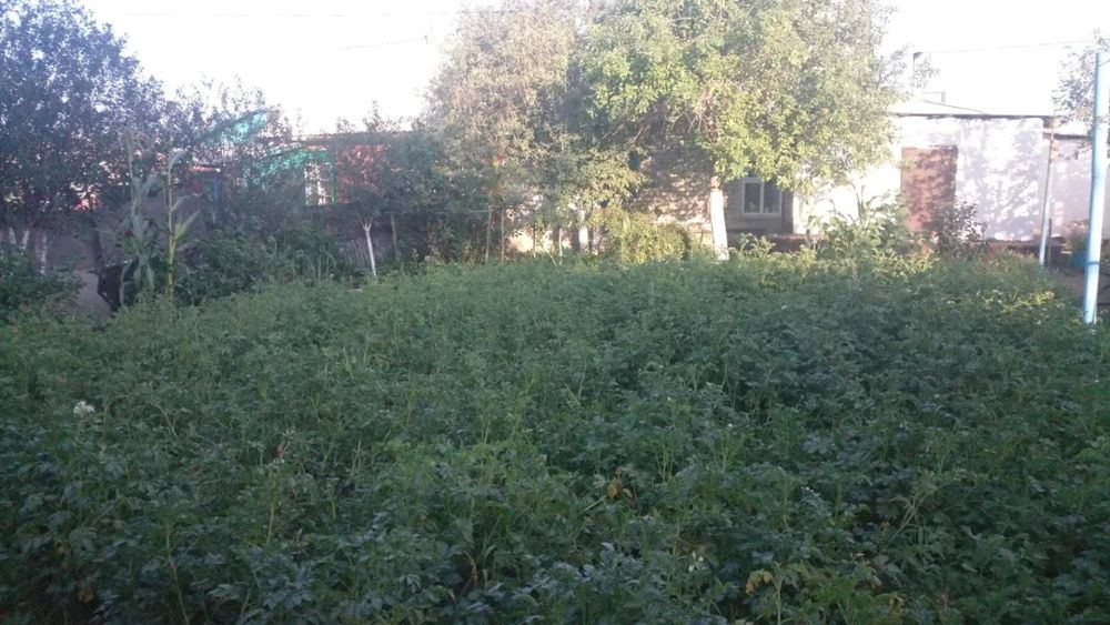 Продам дом в гоооде Семей