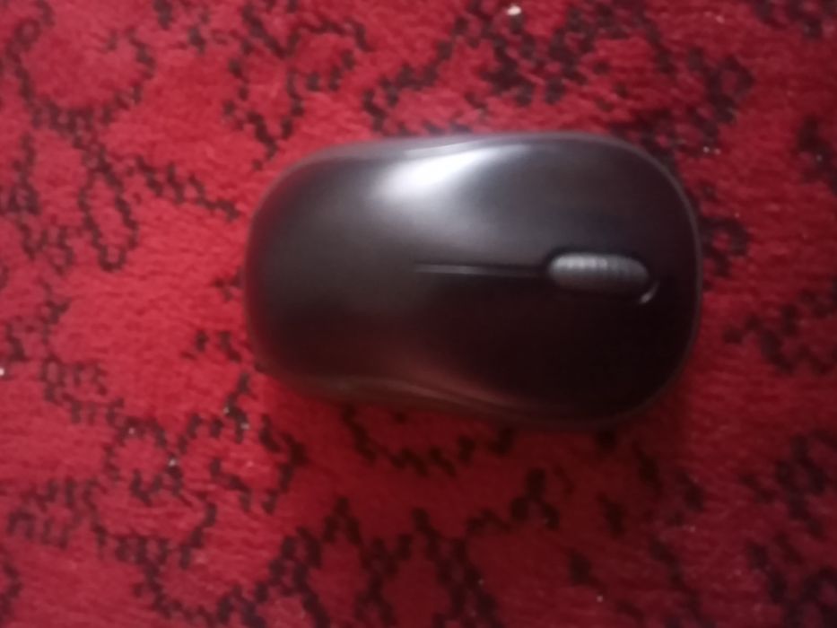 Компьютерный мышка сатам