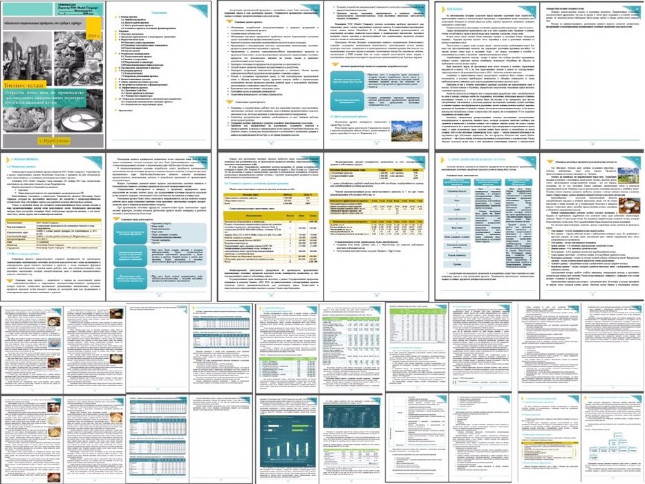 Бизнес план, ТЭО разработка - 35 тыс. тг