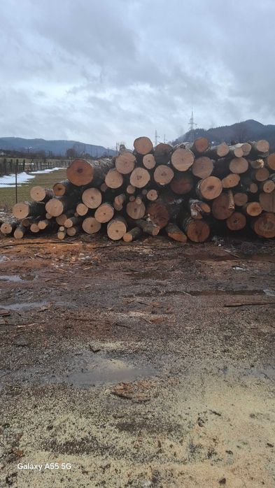 Lemne de foc-fag și brad.