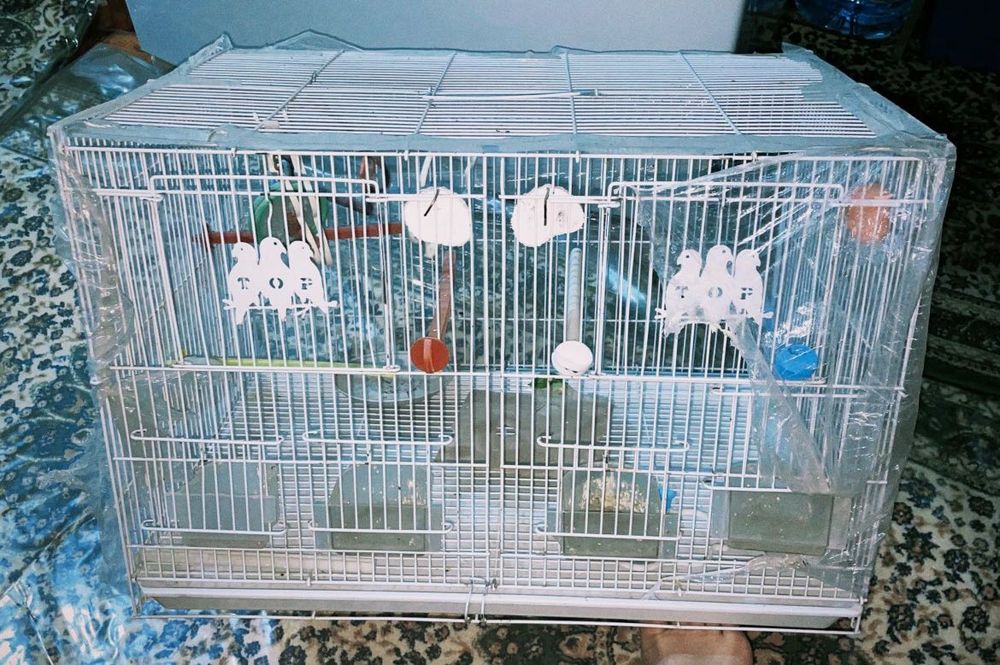 Клетка для птиц 60х40