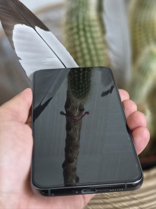 Samsung S22 Plus