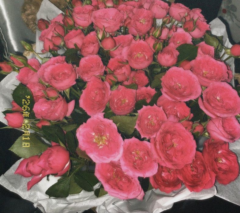 кустовые розы.