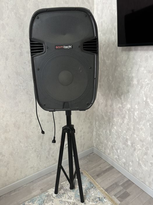 Колонка профессиональная