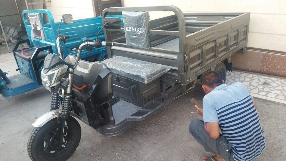 Электрический муравей