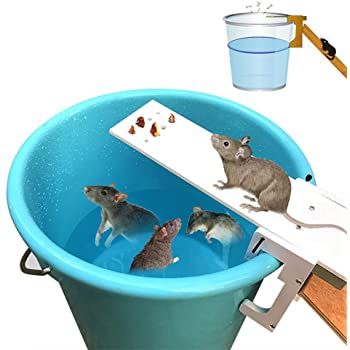 Cursa pentru prindere sobolani in mod continuu! Fara otrava/clei Nou!