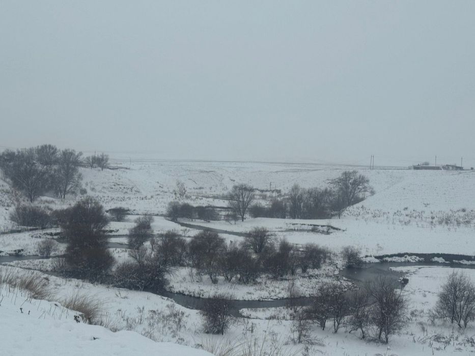 Продам коммерческий объект