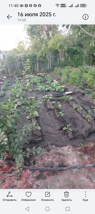 Продаётся дача  ПК "Черемушки"