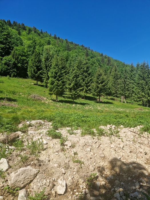 Vând teren în zona de munte