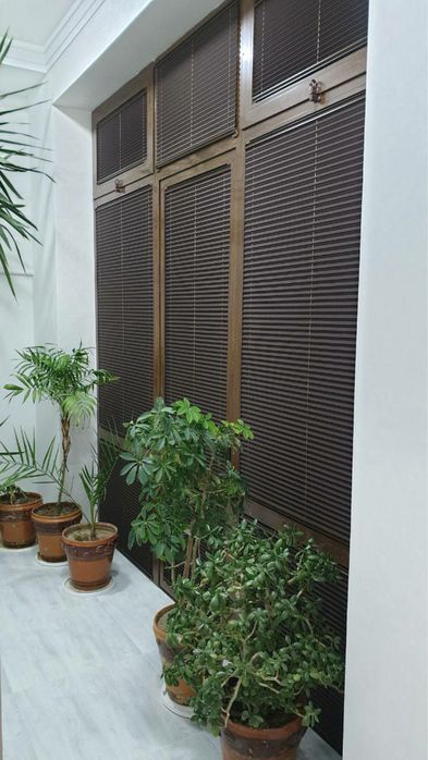 Sifatli jalyuzilar tullar