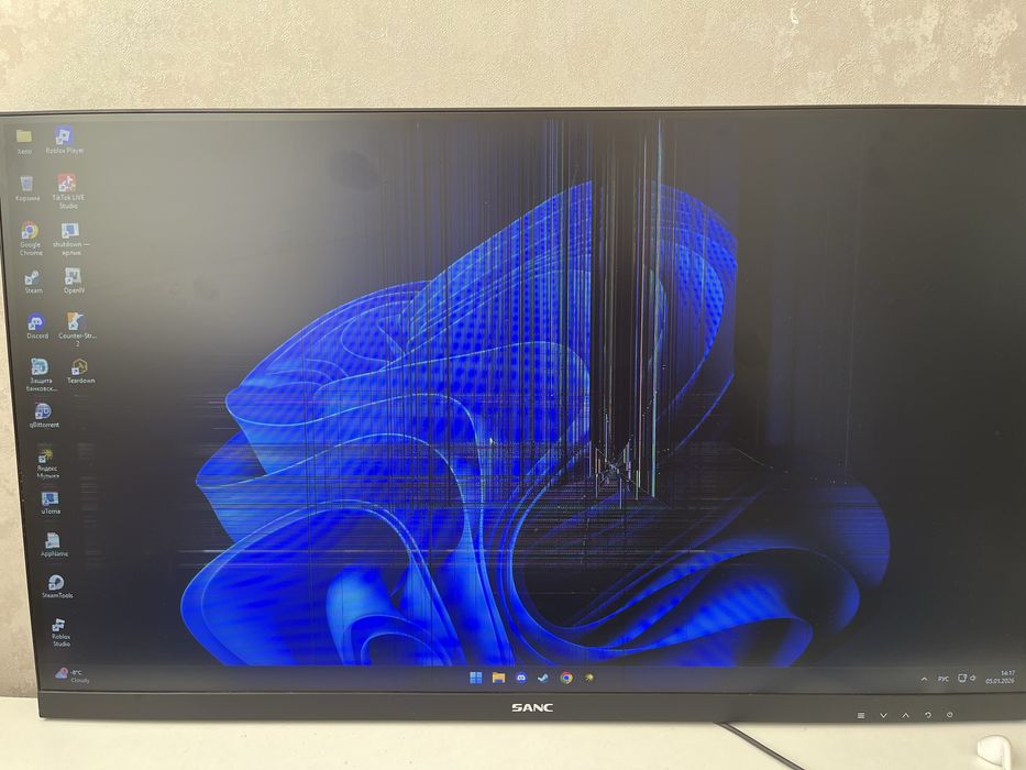 Монитор SANC разбита матрица