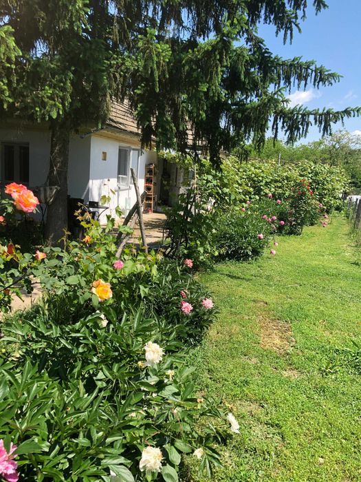 Casa traditionala, cu 1000 mp teren, de vanzare la 25 km de Bucuresti