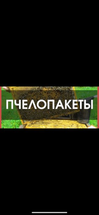 Пчелопакеты с Юга 3+1