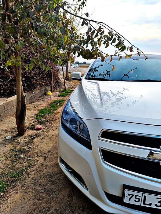 Malibu1 2.4 atmosferniy metan 100talik