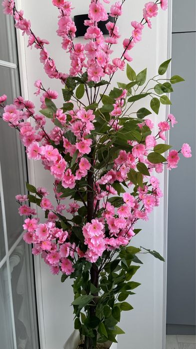 Сакура   для  декора розовый