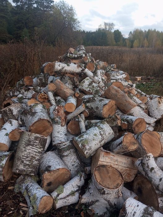 Продам дрова берёза в чурках сухая