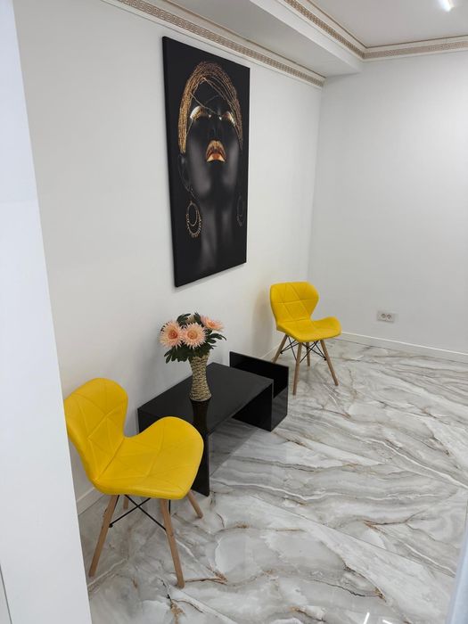 Închiriez apartament 2 camere, ultracentral, Statuia Nespalata, parter, utilat și mobilat Premium