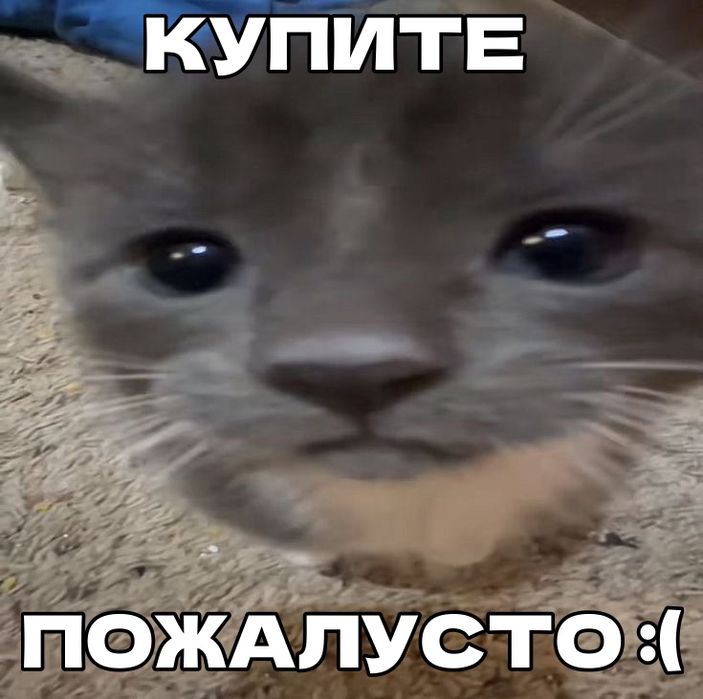 Funko Pop | Spider-Man India