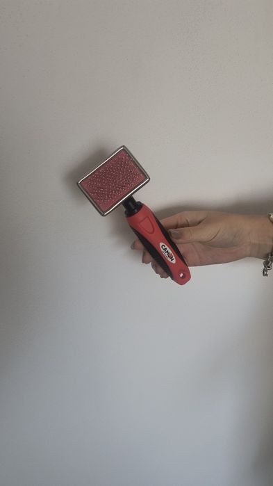 Vând ansamblu, litieră,cușcă de transport și alte accesorii (pisici)