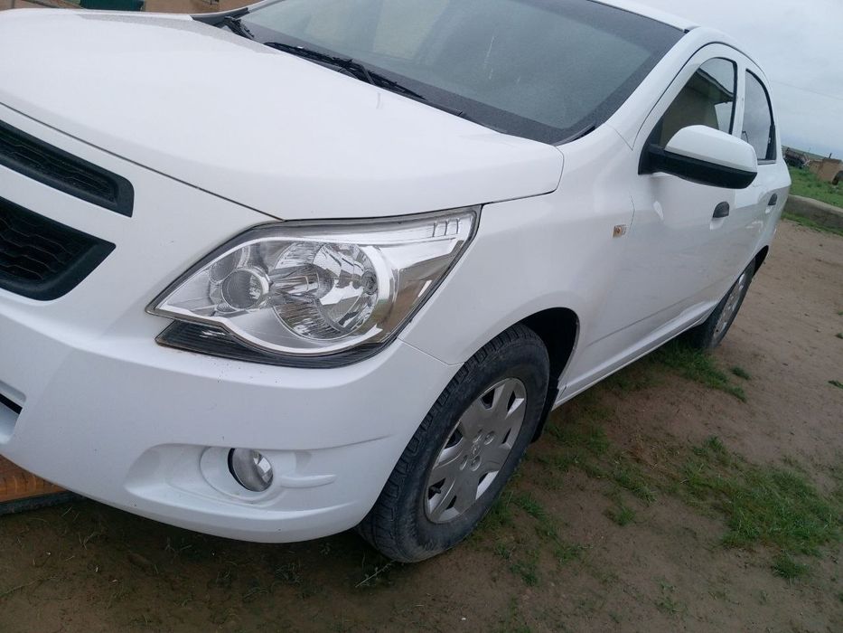 Other Cobalt 2021 — 4