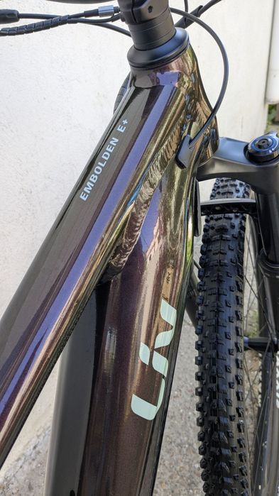 Ebike Liv Giant EMBoleden 29