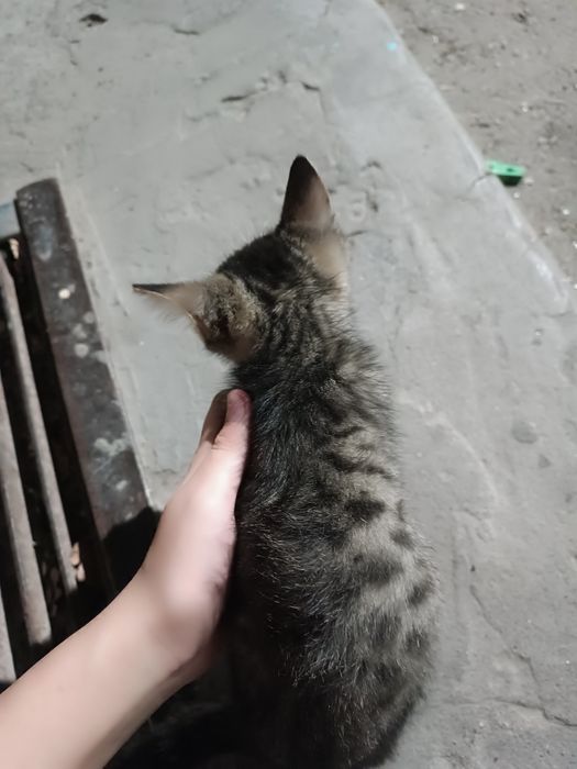 Милый маленький мальчик