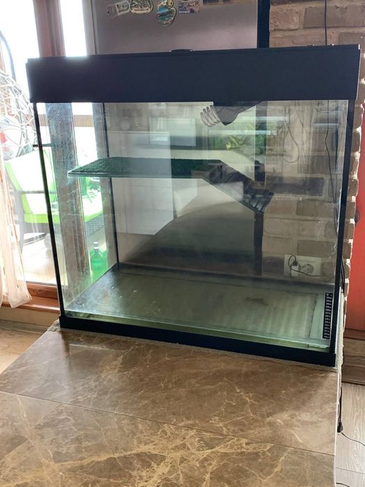 Акватерариум за костенурки