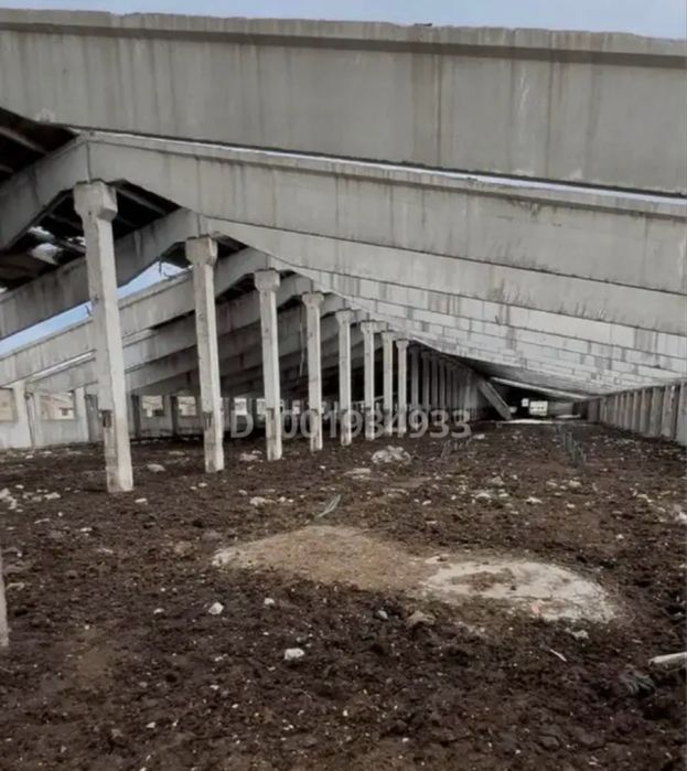 Фазенда, откорм база сатылады