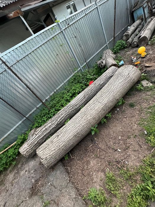 Спиленный орех на продажу