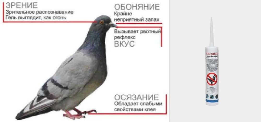 Гель против птиц! (Отпугиватель)