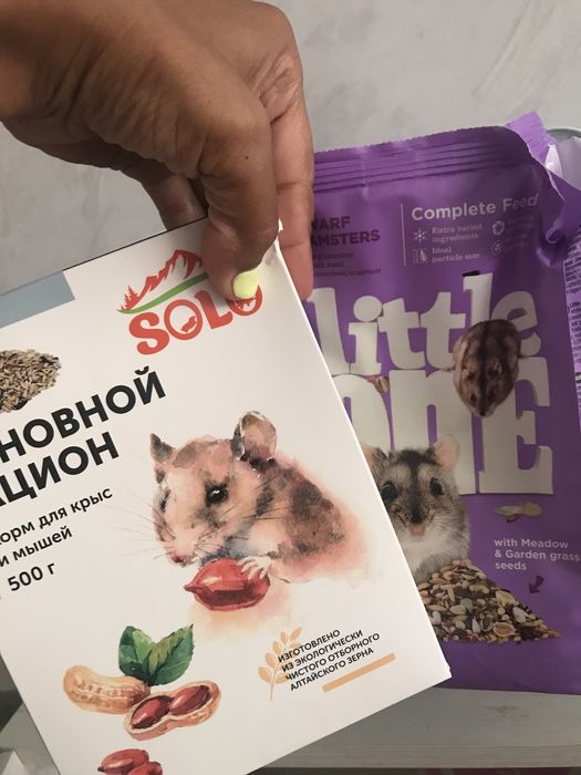 Продам Хомячка (Соня) , корм, клетка, шар