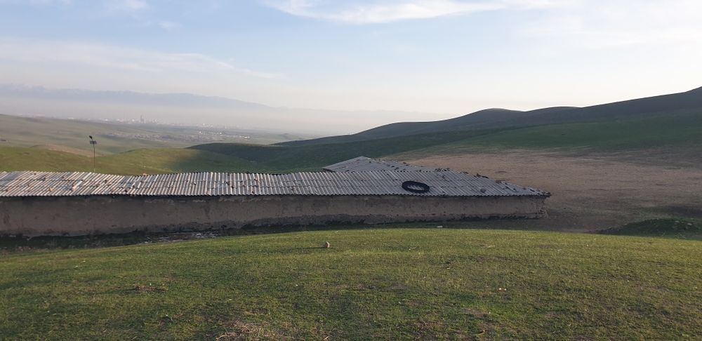 Куй кура сотилади 15 сотих куй бокишга мулжалланган