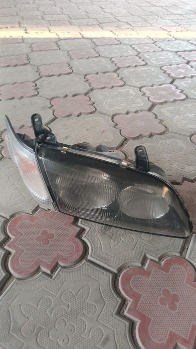 Ипсум ипсун ipsum picnic пикник