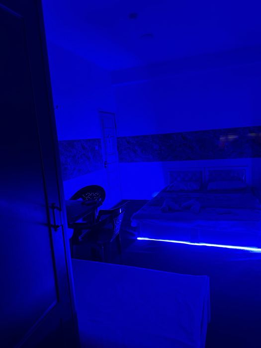 Mexmonxona Bez zaks chilonzor