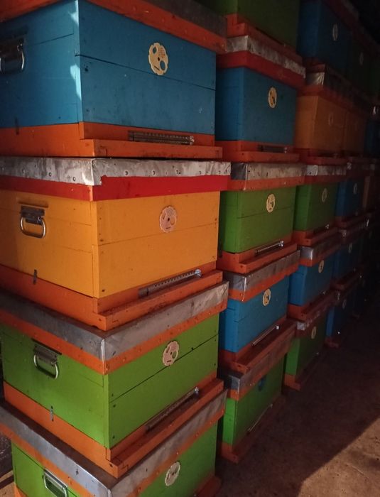 Продам улья для пчел.12 рамочный дадан.