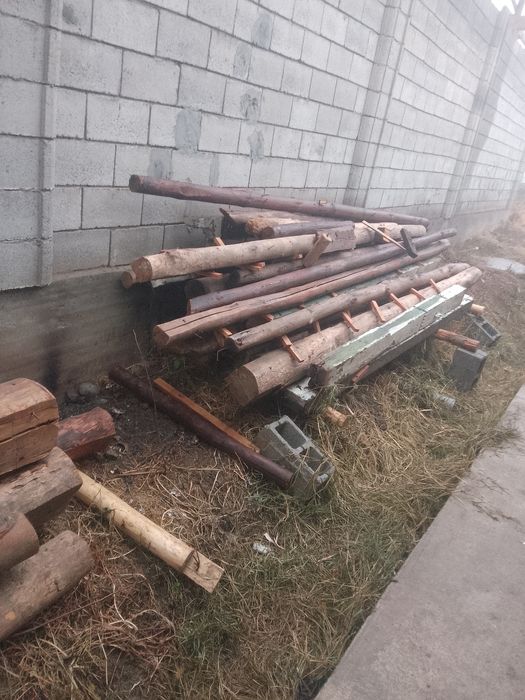 Старапила тусинлар сотилади