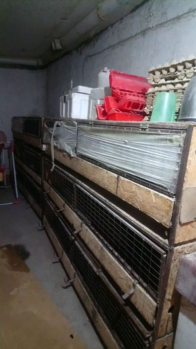 Продаются брудеры. Полностью укомплектован.
Продаются брудеры для брой